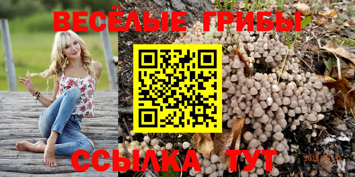 Гусев  Псилоцибиновые грибы мухоморы  Вход с VPN 