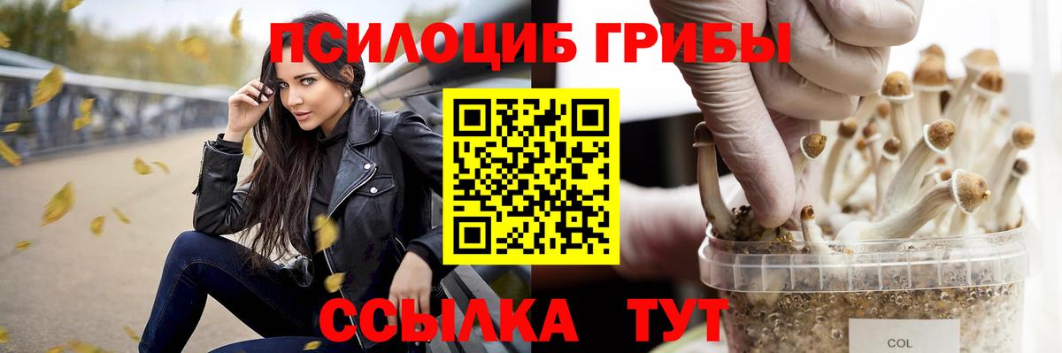 Псилоцибиновые грибы ЛСД Гусев
